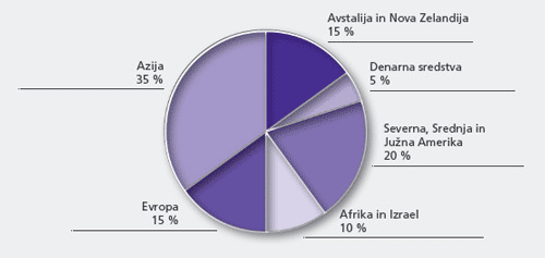 Ciljna geografska sestava naložb vzajemnega sklada NLB Skladi - Visokorastoča gospodarstva