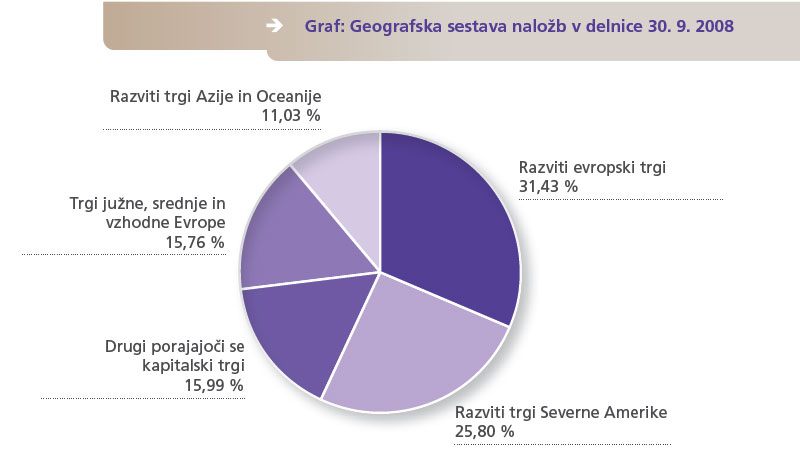 Geografska sestava naložb v delnice 30.9.2008